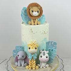 Birthday Cakes